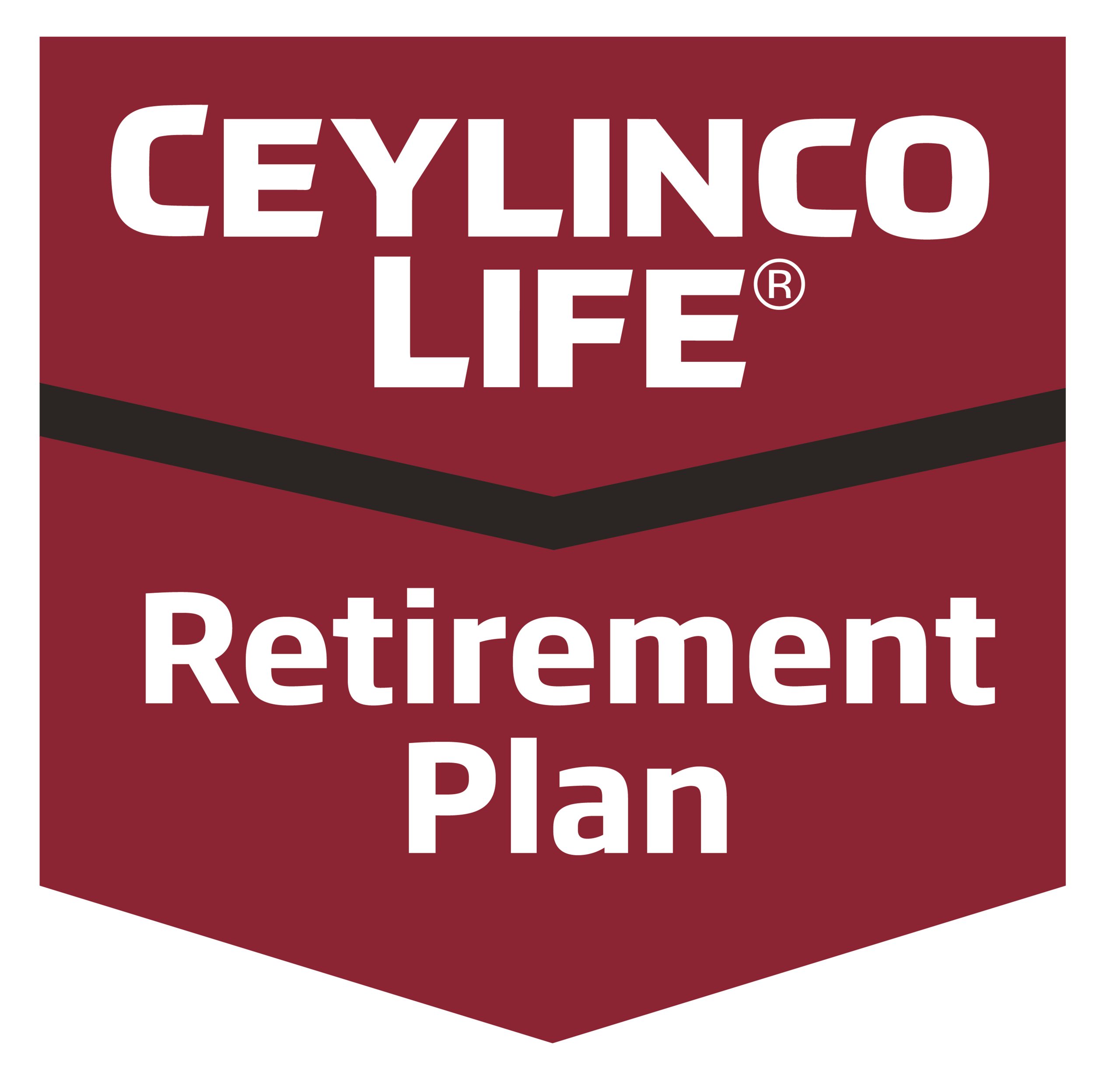Read more about the article Retirement