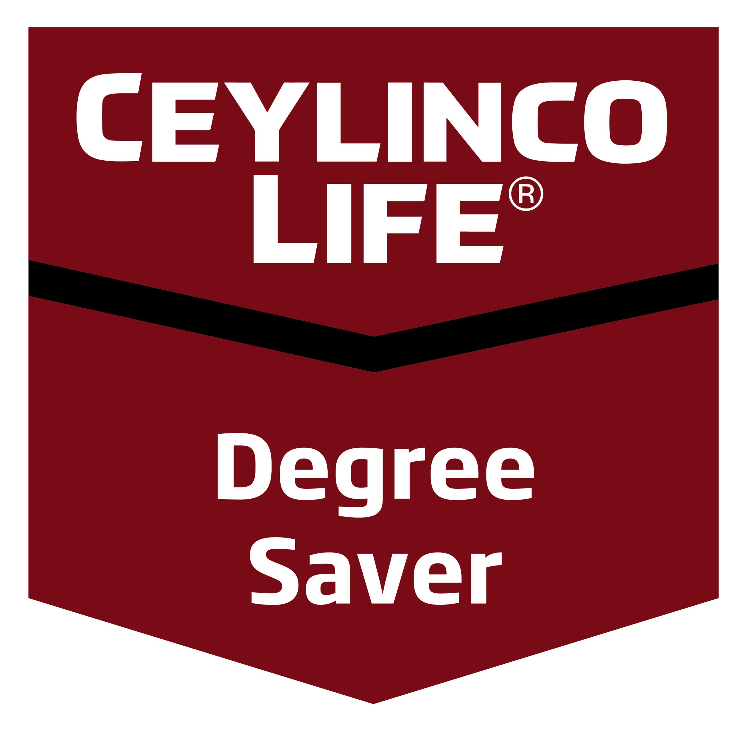 Read more about the article Degree Saver