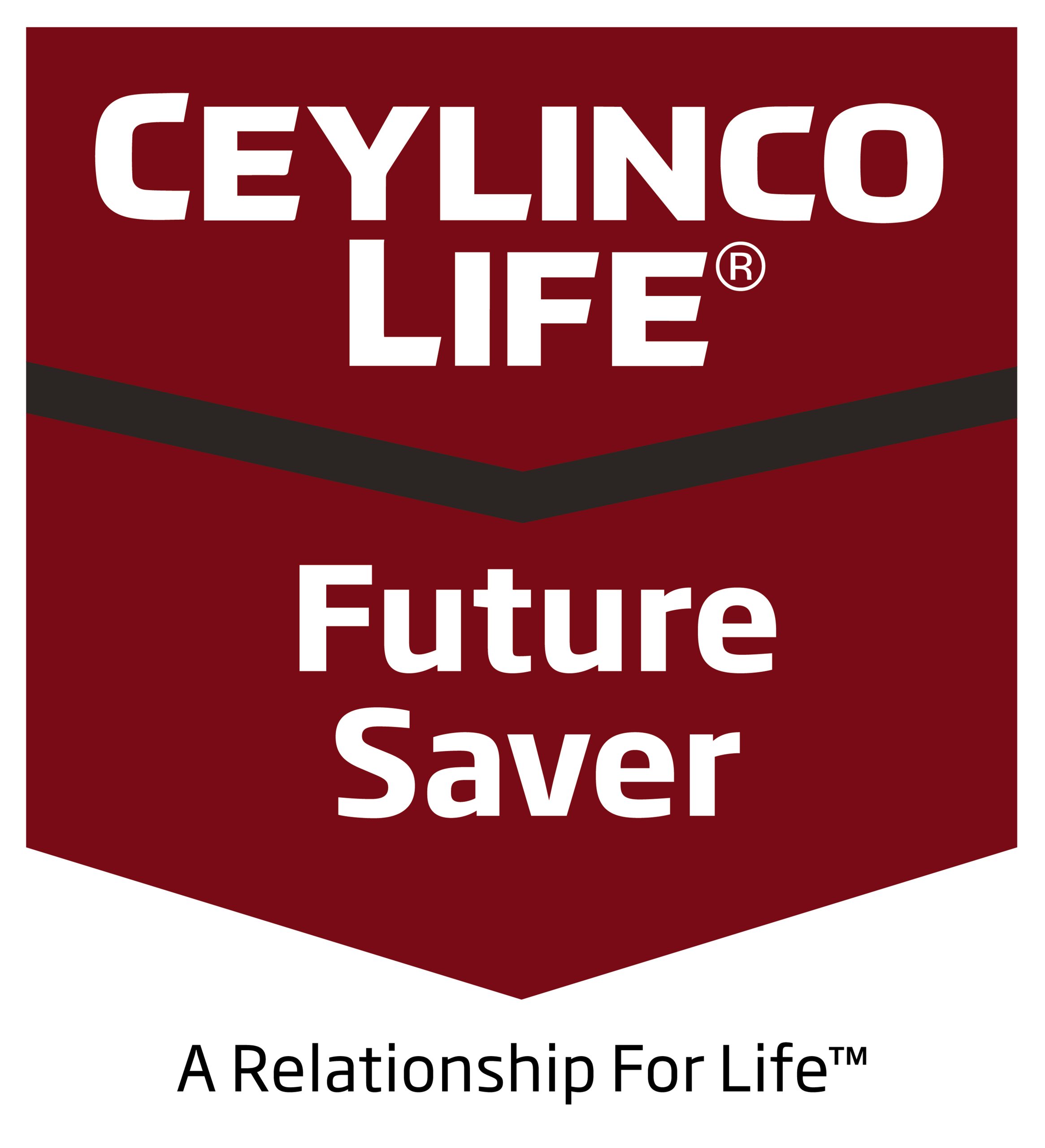 Read more about the article Future Saver