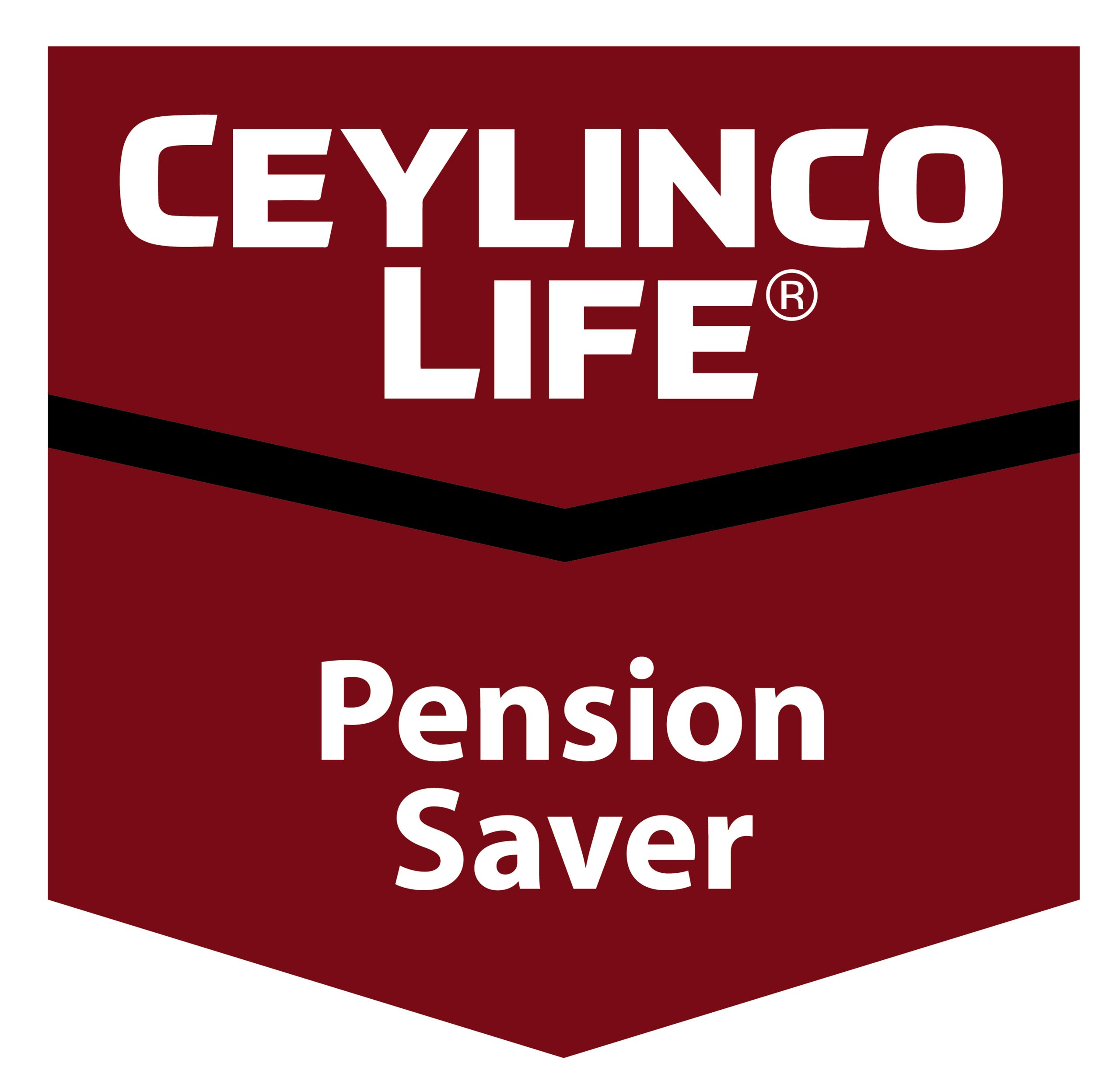 Read more about the article Pension Saver