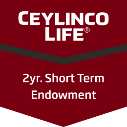 short-term-endowment