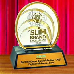 SLIM Brand Excel_2021