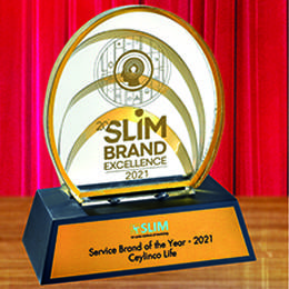 SLIM Brand Excel_2021_Service Brand