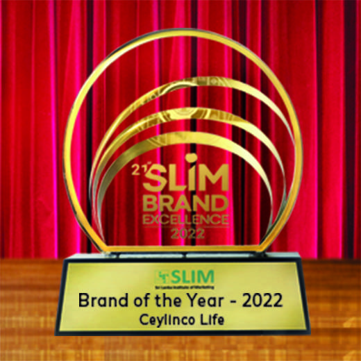Slim Brand Excellence 3
