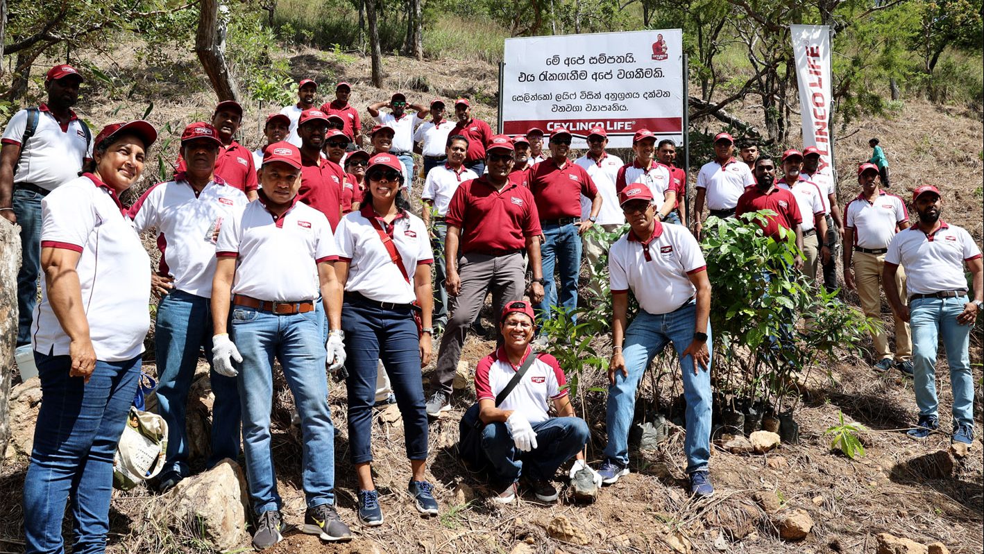 Reforestation project Ceylinco Life