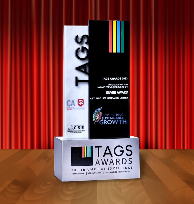 Tags Award 2023- Silver