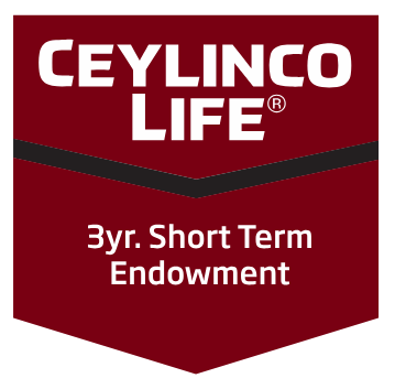 3 year short term endowment