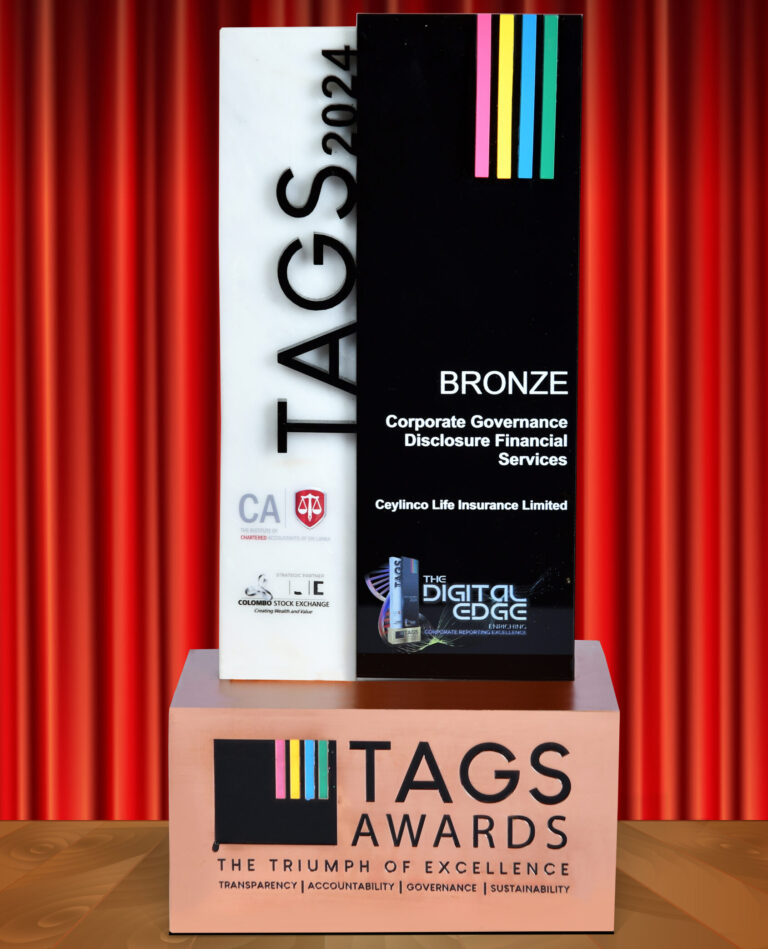 Tags Award 2024 - Bronze