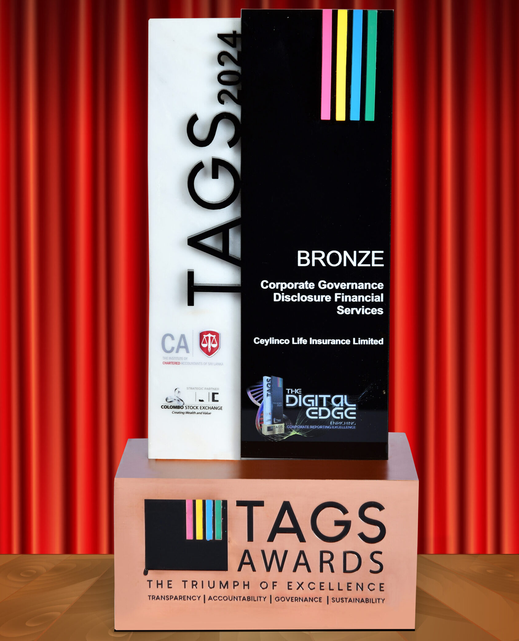 You are currently viewing Tags Award 2024 – Bronze