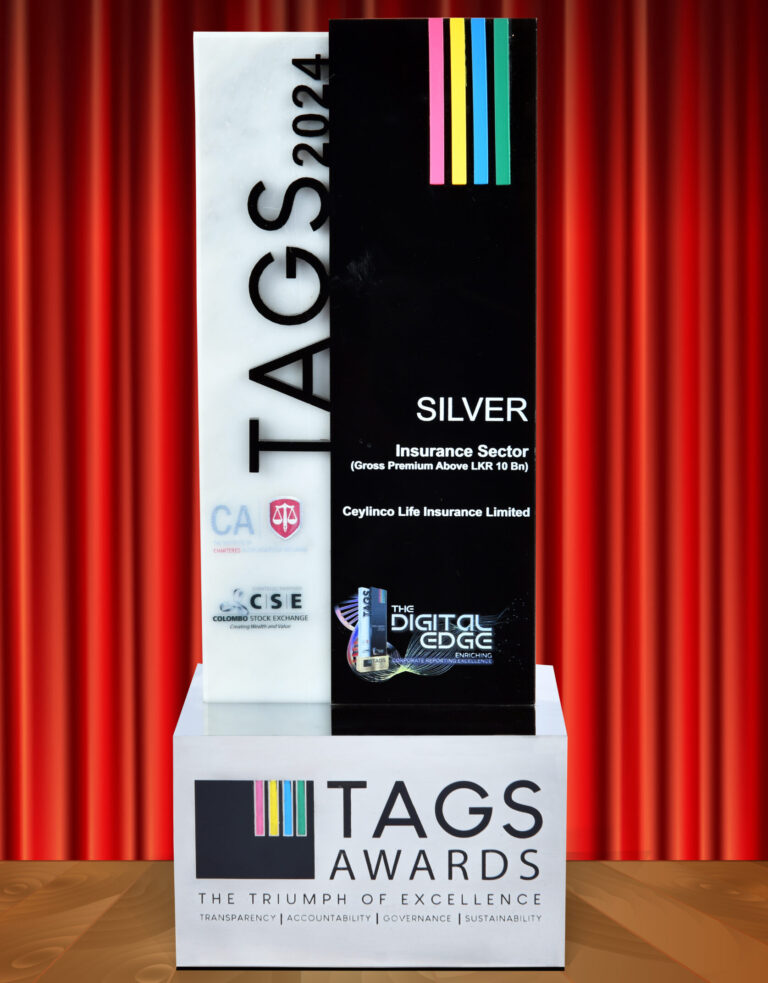 Tags Award 2024 - Silver