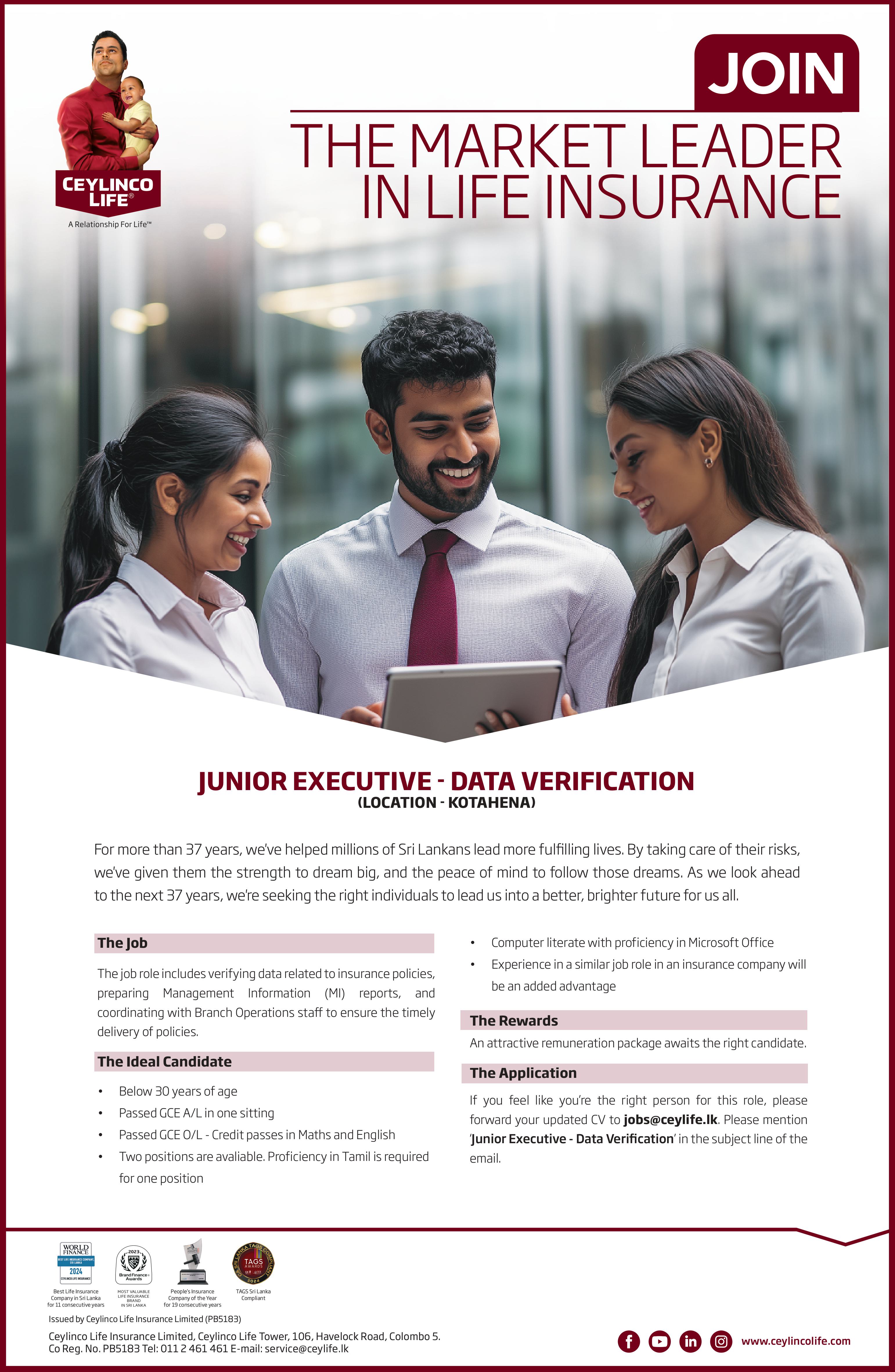 Junior Executive - Data Verification - Trilingual