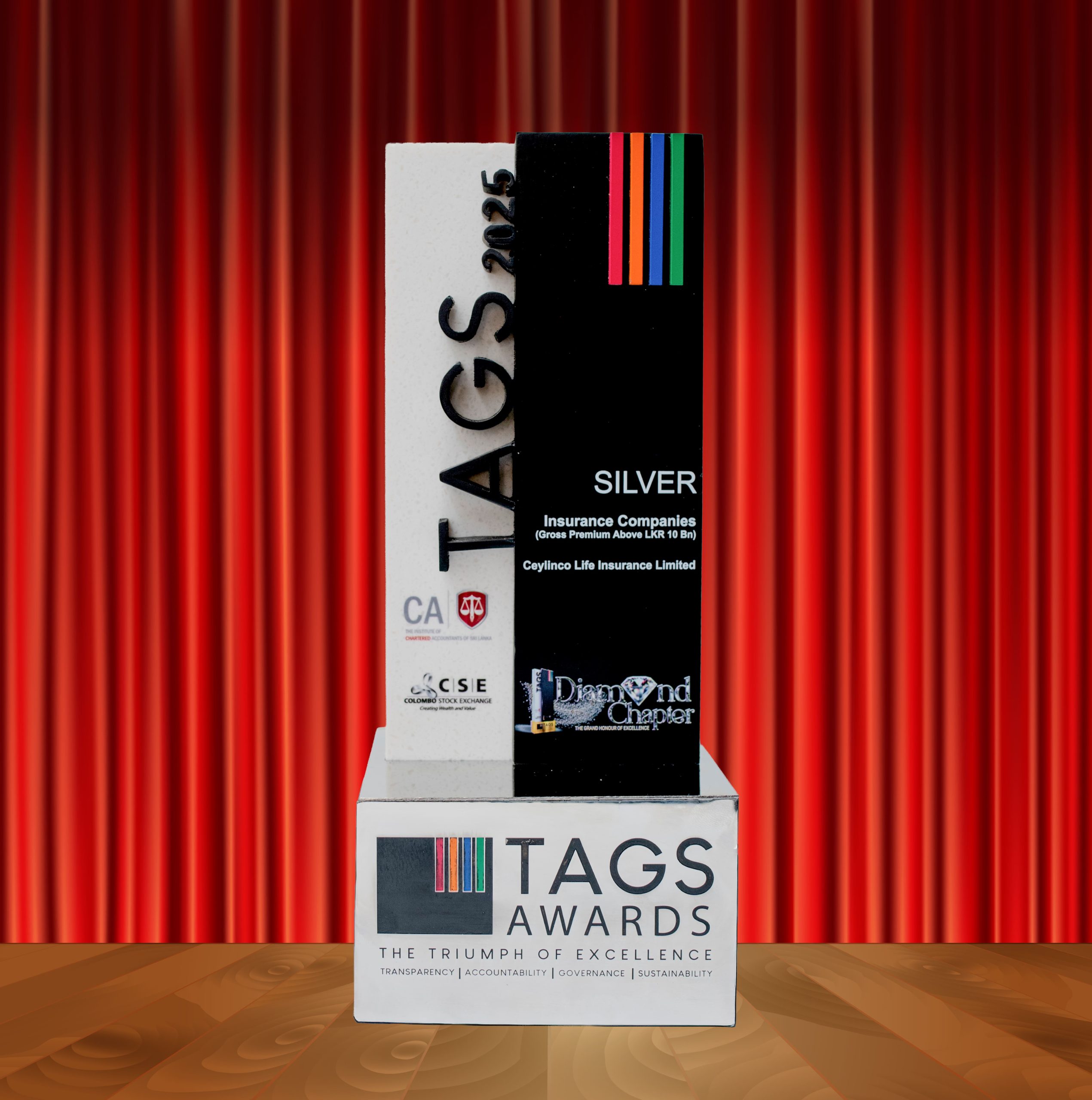 Read more about the article TAGS Award 2025 – Sliver